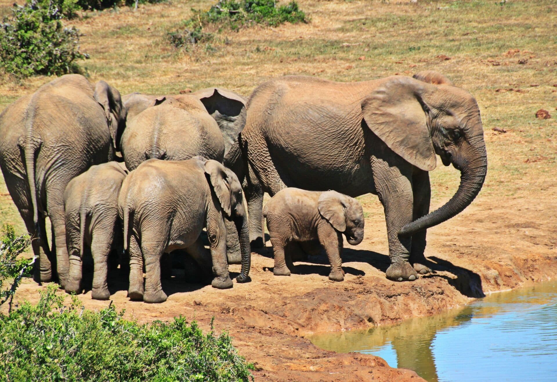 Birth Without Your Village: Creating Support When Family Is Far Away