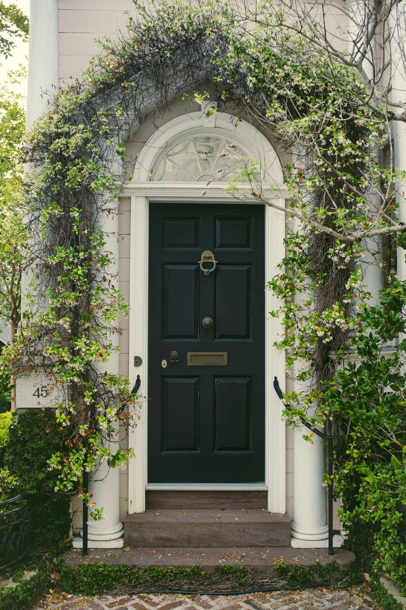 A front door framed by climbing white jasmine