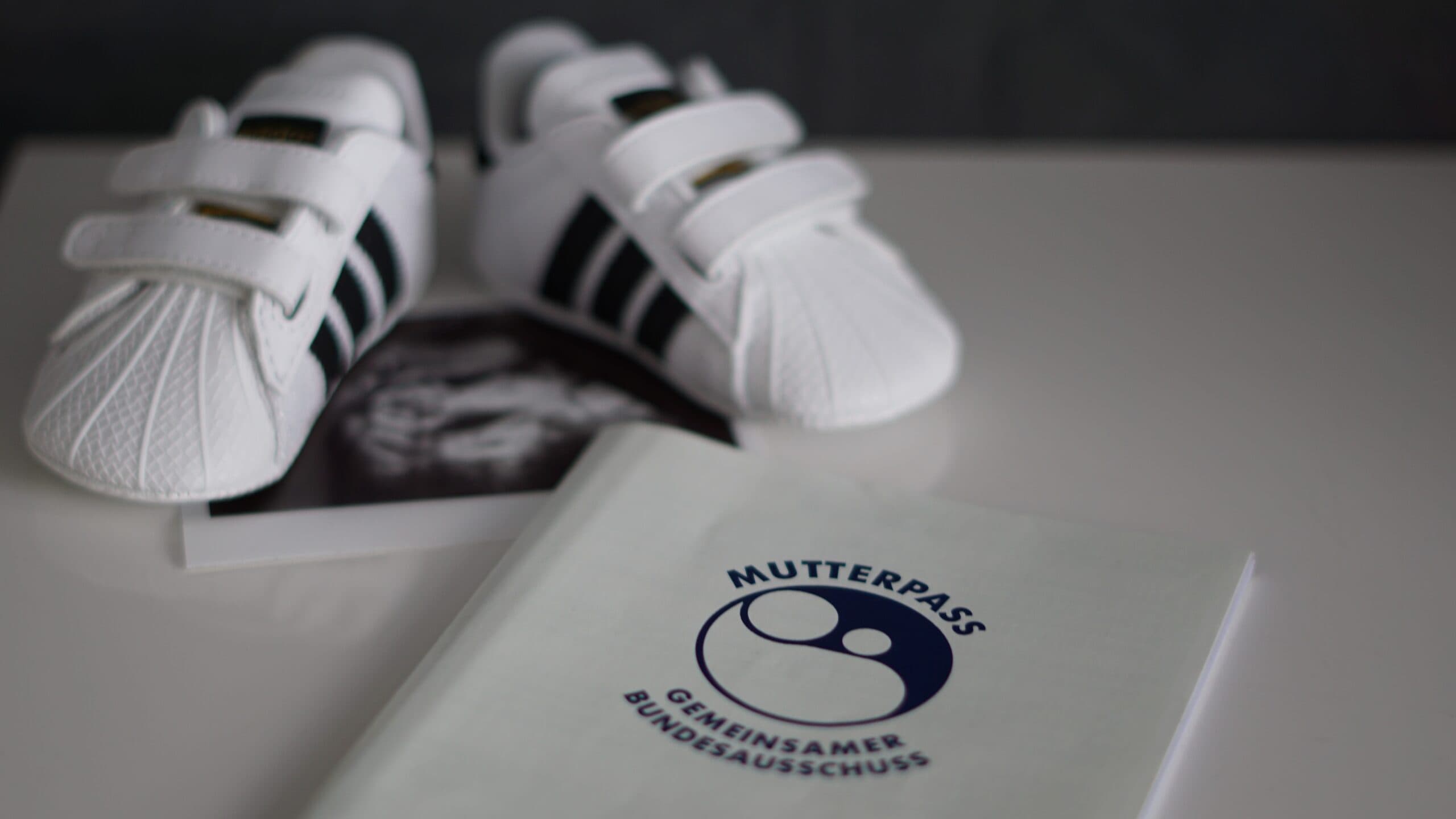 A Mutterpass, the German maternity record booklet